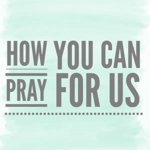 23023474_10214472960595259_1847089777_n