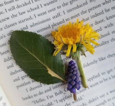 30742209_10215954986924991_2528963691202740224_n