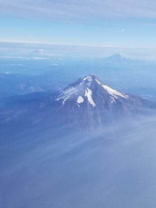 41900314_273148679969839_1729796566635511808_n